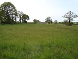 Paddock to let at Miry Lane, Netherthong