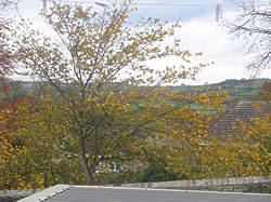 Property to let in Clayton West, Huddersfield