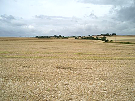 Photo of farmland and fields.