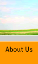 About Us Page Button