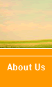 About Us Page Button
