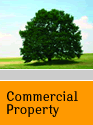 Commercial Property Page Button