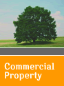 Commercial Property Page Button